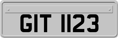 GIT1123