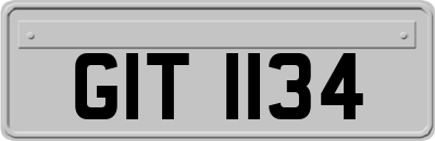 GIT1134