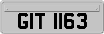GIT1163