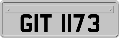GIT1173