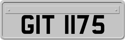 GIT1175