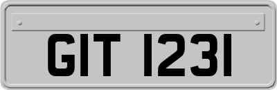 GIT1231