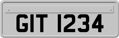 GIT1234