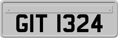 GIT1324