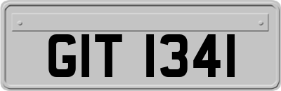 GIT1341