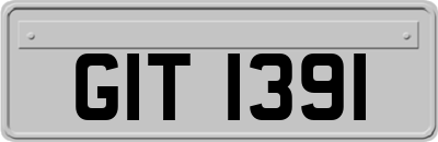 GIT1391