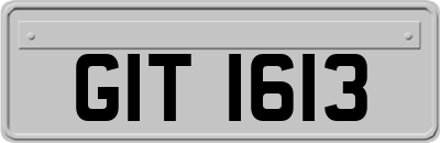 GIT1613