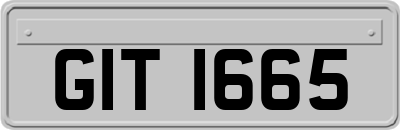 GIT1665