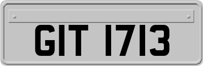 GIT1713