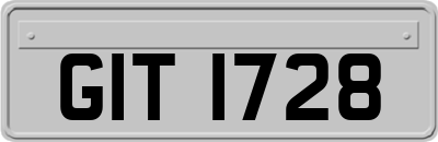 GIT1728