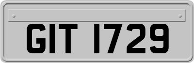 GIT1729