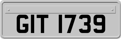 GIT1739