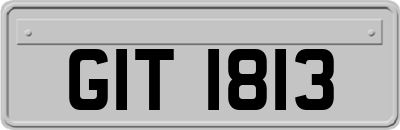 GIT1813