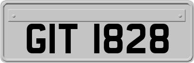GIT1828