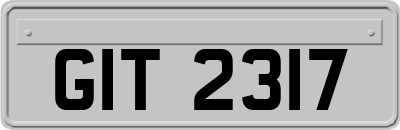 GIT2317
