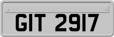 GIT2917