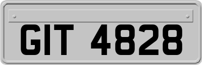 GIT4828