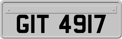 GIT4917