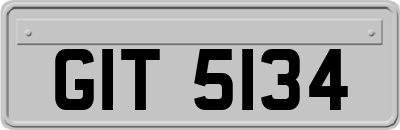 GIT5134