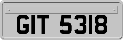 GIT5318