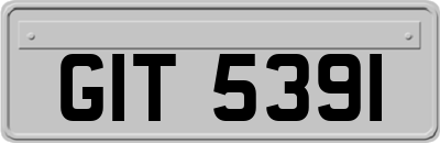 GIT5391