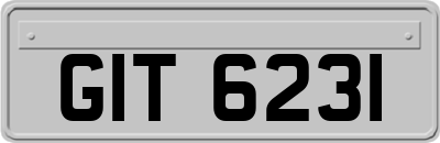 GIT6231
