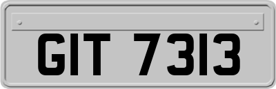GIT7313