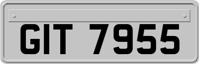 GIT7955