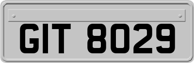 GIT8029