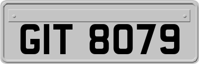 GIT8079