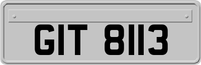 GIT8113