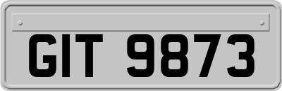 GIT9873