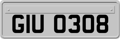 GIU0308