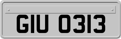 GIU0313