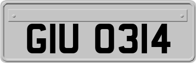 GIU0314