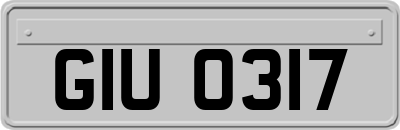 GIU0317