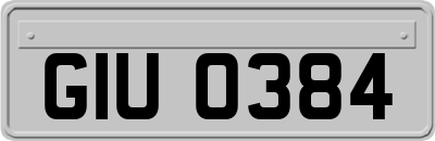 GIU0384