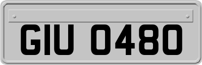 GIU0480