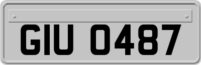 GIU0487