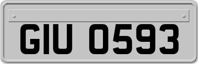 GIU0593