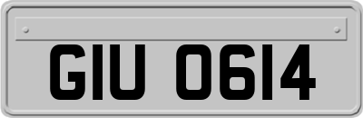 GIU0614