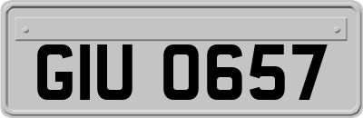 GIU0657