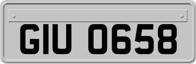 GIU0658