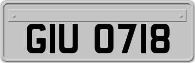 GIU0718