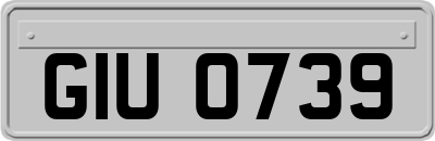 GIU0739