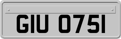 GIU0751