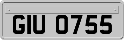 GIU0755