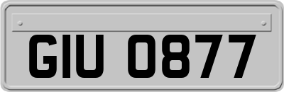GIU0877