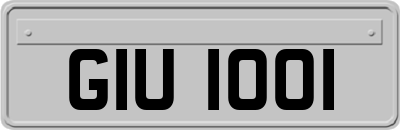 GIU1001