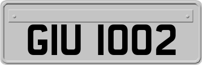 GIU1002